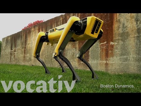 The Evolution Of Boston Dynamics’ Robot Dogs