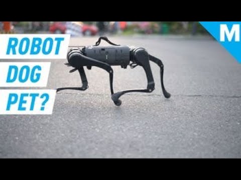 This Boston Dynamics Robot Dog Lookalike Might Be The 'Future of Pets' | Mashable