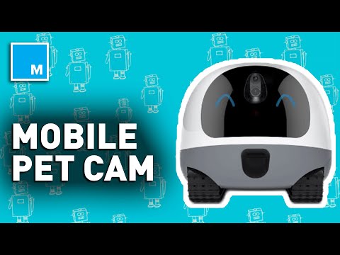This Mobile Robot Is A BUDDY For Your Pets | Strictly Robots