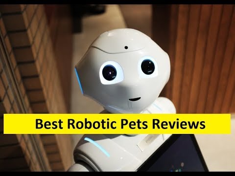 Top 3 Best Robotic Pets Reviews in 2019