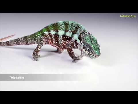 Top Industrial Robots you must see