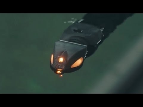 Underwater Robot Snakes Are As Awesome And Scary As They Sound – Newsy