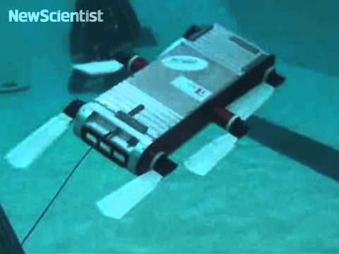 Underwater robot