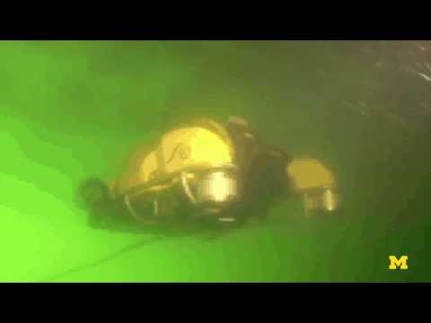 Underwater Robotic Bomb Squads