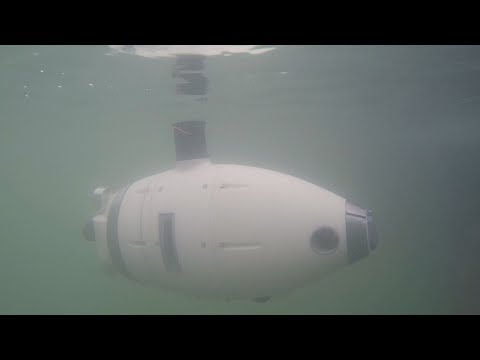 Underwater robots monitor Venice lagoon