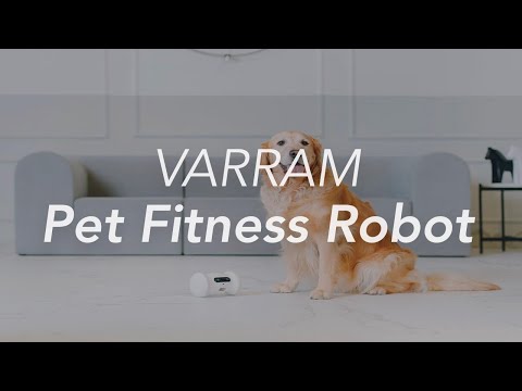 VARRAM Pet Fitness Robot Overview by Gadget Flow