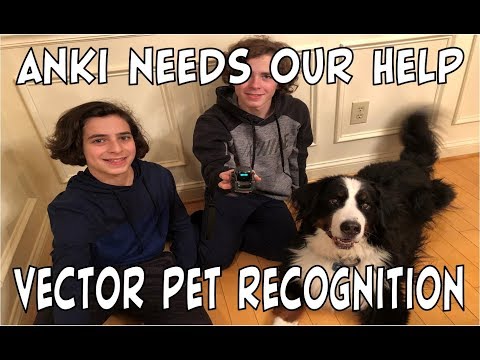 Vector the Robot | Anki Needs Our Help w/ Pet Recognition | #HeyVector