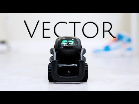 Vector: The Ultimate Smart Home Robot is Here!