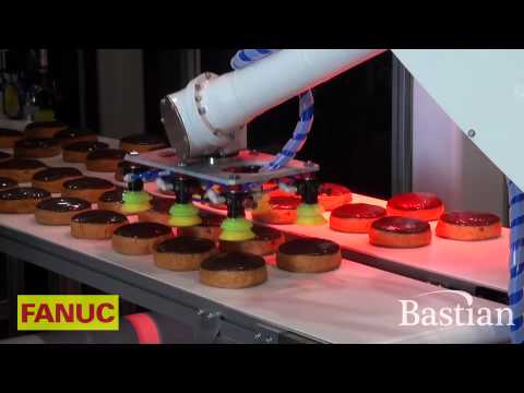 Vision Guided Robotic Picking- Quick Industrial Robots