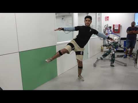 Whole-Body Geometric Retargeting for Humanoid Robots