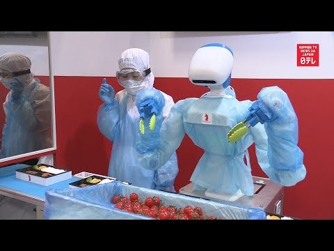 Food Service Robots