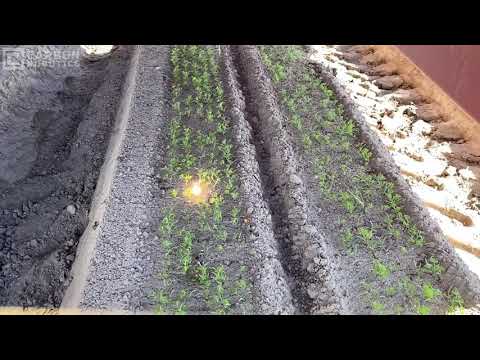 Carbon Robotics Autonomous Weeder – Laserweeding in Multiple Crops