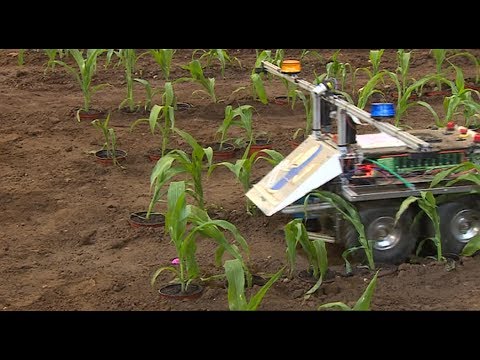 Farming robots get to grips with weeding at Harper Adams
