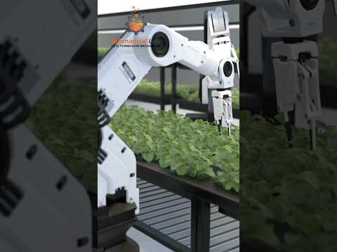 Revolutionizing Agriculture: Exploring The Smart Robotic Farming ...