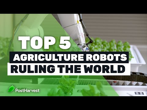 Top 5 Robots in Agriculture that are ruling the World