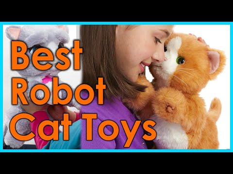 Best Robot Cat Toys [Top 5 Picks]
