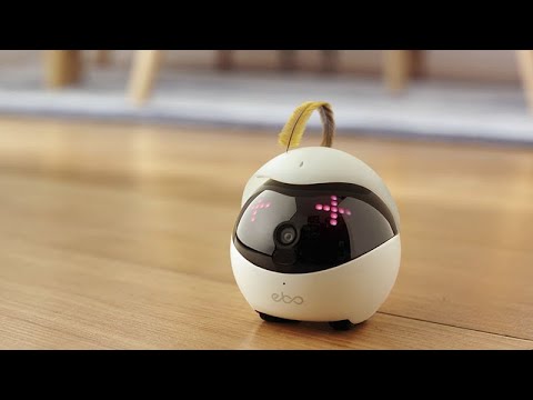 Ebo – The Smartest Robot Companion for Your Cat
