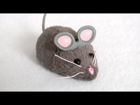 Hexbug Mouse Robotic Cat Toy from Hexbug