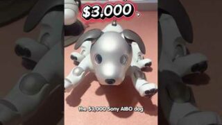 Is the $3000 SONY Aibo Robot Dog Worth It? 🐶🤖