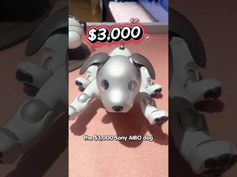 Is the $3000 SONY Aibo Robot Dog Worth It? 🐶🤖