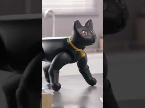 Mars Cat Robot #robotics #robot #artificialintelligenc