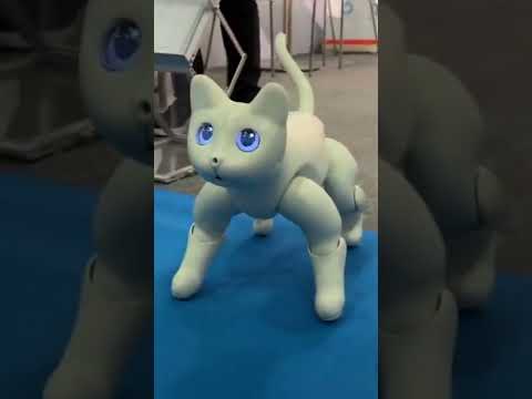 Marscat 🐈  🤖                      The bionic robotic cat!