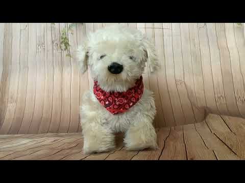 MGA Georgie – Interactive Plush Electronic Puppy Robotic Dog Unboxing, Demonstration & Review
