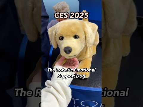 Realistic Robot Puppies for Those Facing Health Adversities #ces #ces2025 #tombot