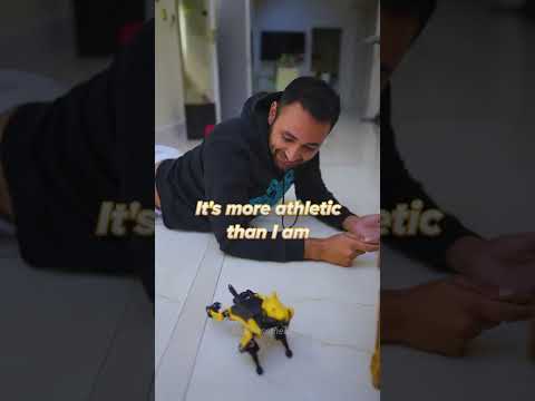 Unboxing the Robot Dog!