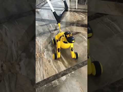 Wow, this robot dog toy is great 2023 toys & gift for every home #aidog #dog #hendee #toys #factory