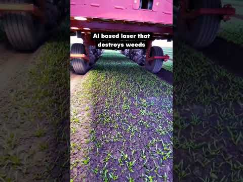 #AI based laser that destroy weeds #farming #agriculture #laserWeeder #shorts