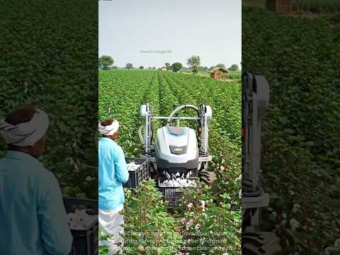 Amazing Robotic Cotton Harvester 🌿 | Smart Cotton Picking Machine #cotton #robot #smartfarming