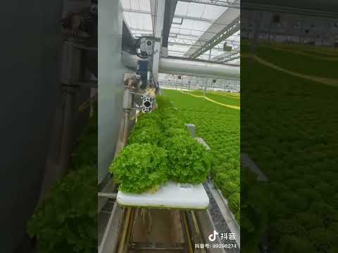 Digital farming in China #technology #shorts