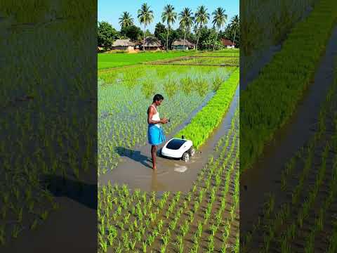 🚜 Drone View of Smart Farming Robot | Modern Agriculture in Indian Paddy Field 🌾,|| #shorts