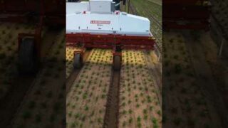Laser Weeding Robot Transforming Modern Farming With Precision Technology