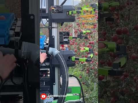 Robotic Apple Picking System 🔥🍎🍎🍎  #agrivideos #agriculture #highdensity #applepicking #agribusiness
