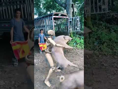 Robots raising pigs. -Robots in rural China  #farming  #funny  #comedy