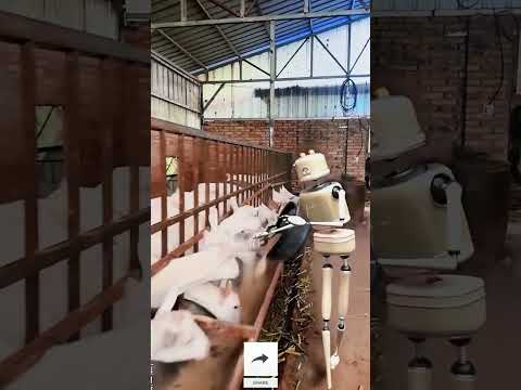 Robots Take Over Cow Farming! #agriculture #robot #farming #dairyfarm #ytshorts #ai