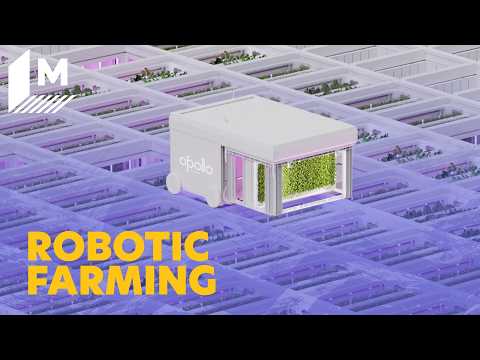 The World's First Robotic Vertical Farm Resembles a Rubik's Cube