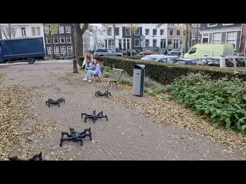 These spider robots have a surprising purpose.