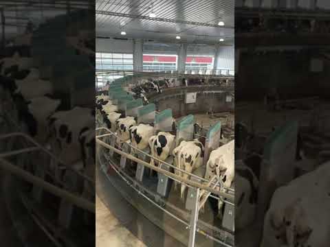 Tour a 72 cow Robotic Rotary Parlor with me!