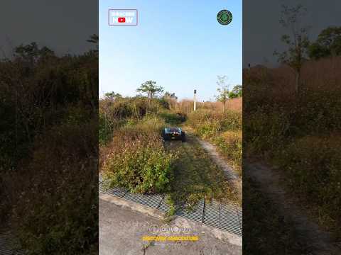 weeding Robot