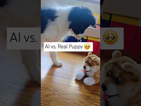Ai Robot Puppy Meets Real Puppy 😍 #cute #deepseek #openai #robot #unboxing