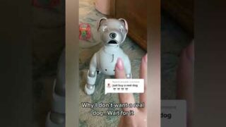 AIBO pet robot dog #aibo #aibot #petrobot #airobot #petbot