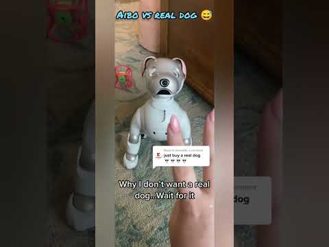 AIBO pet robot dog #aibo #aibot #petrobot #airobot #petbot