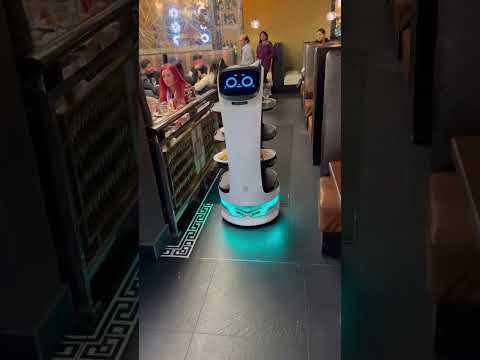 #Bellabot #Robot #waiter in a restaurant in #Mississauga #Canada