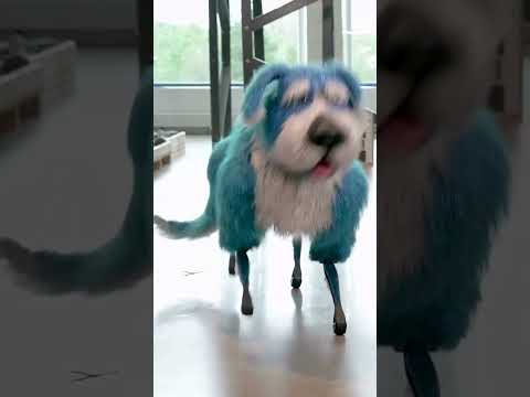 Boston Dynamics gives robot dog sparkly costume