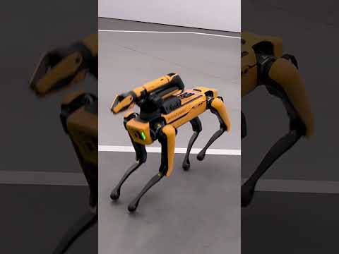 Boston dynamics robot dog at CES 2024