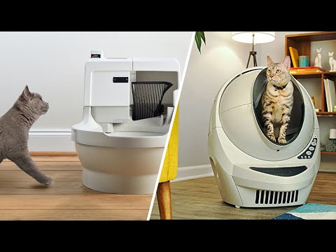 Cat Genie vs Litter Robot – Which Is Better in 2026?