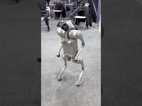 CES 2025 Unitree Robot Dog performs flips at #CES2025 presented by Toborlife AI #robodog #robotpet